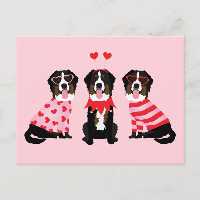 Carte Postale Chiens de montagne bernois de la Saint-Valentin (Devant)
