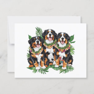 Carte Postale Chiens de montagne bernois d'Hawaï