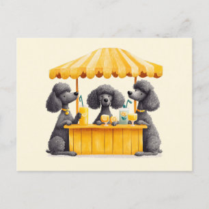 Carte Postale Chiens De Poodle Standard Avec Un Socle De Lemonad
