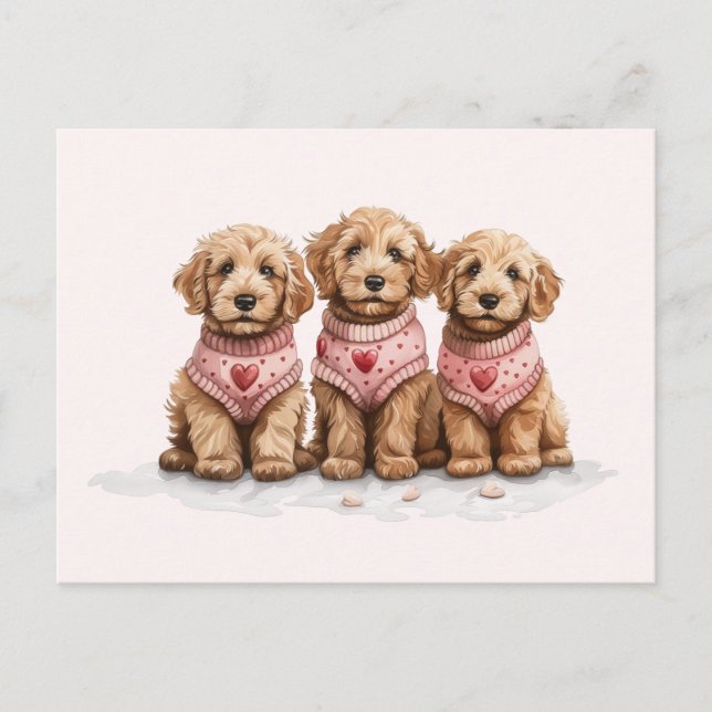 Carte Postale Chiens de Valentine Goldendoodle (Devant)