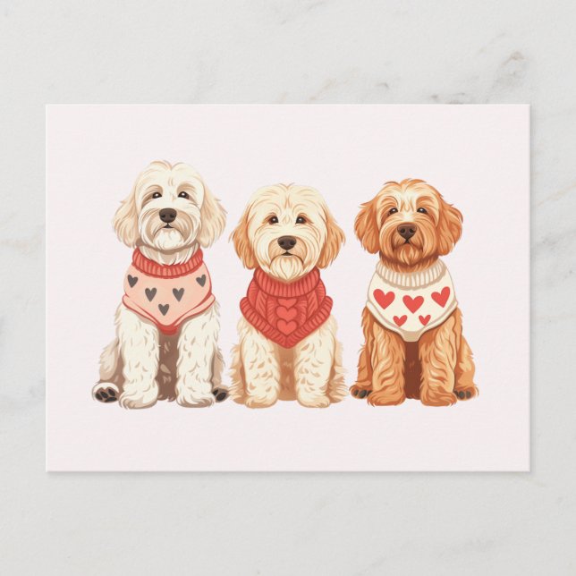 Carte Postale Chiens de Valentine Goldendoodle (Devant)