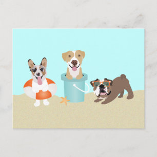 Carte Postale Chiens d'été de plage Bleu Orange