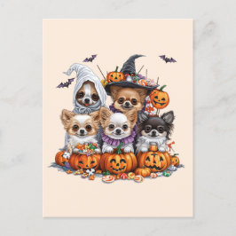 Carte Postale Chiens d'Halloween Chihuahua