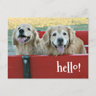 Carte Postale Chiens d'or rétriever en Wagon rouge penser à vous