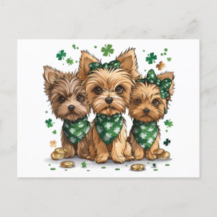 Carte Postale Chiens du Yorkshire Terrier de la Saint-Patrick