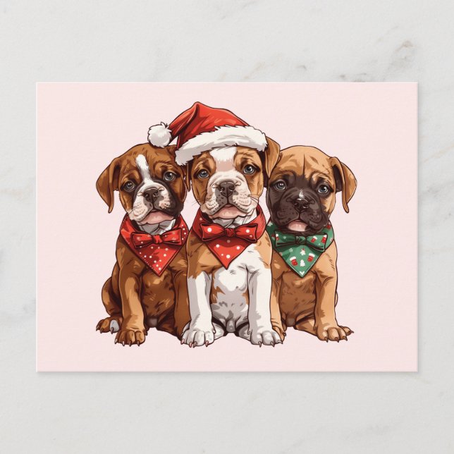 Carte Postale Chiens en boîte de Noël (Devant)