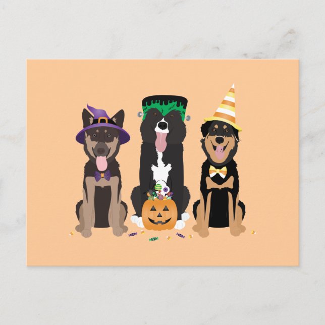 Carte Postale Chiens En Costumes Halloween (Devant)