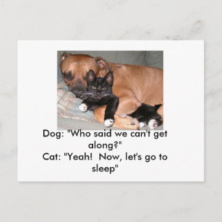 Carte postale Chiens et Chats