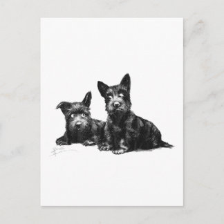 CARTE POSTALE CHIENS ÉTENDUS VÉRIFIER ET RECHERCHER