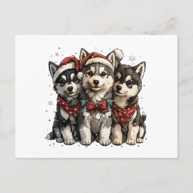 Carte Postale Chiens Husky de Noël (Devant)