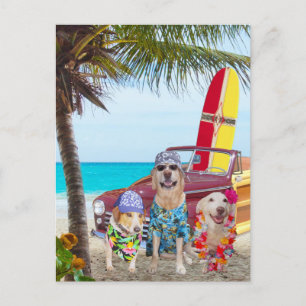 Carte Postale Chiens/laboratoires amusants personnalisables sur 