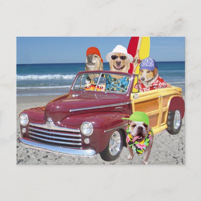 Carte Postale Chiens / laboratoires sur la plage en bois (Devant)