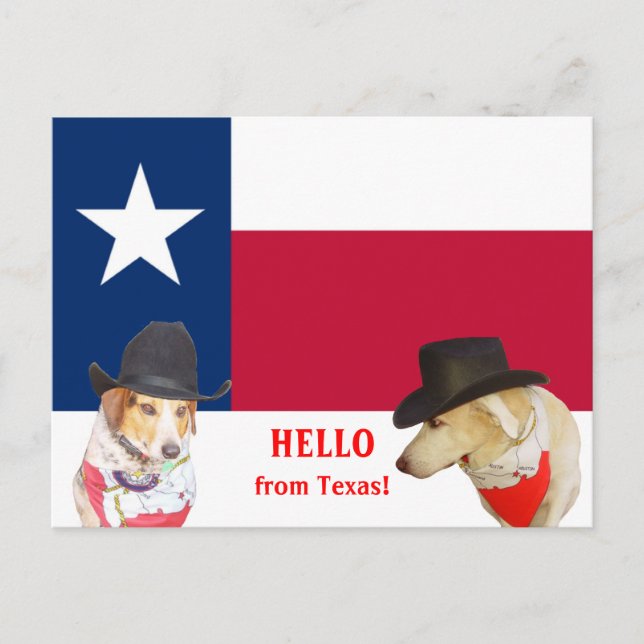 Carte Postale Chiens mignons Bonjour du Texas ! (Devant)