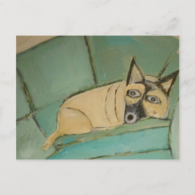 Carte Postale chiens par eric ginsburg (Devant)