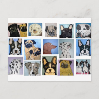 Carte Postale chiens par eric ginsburg
