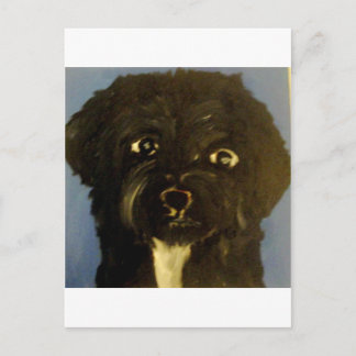 Carte Postale chiens par eric ginsburg