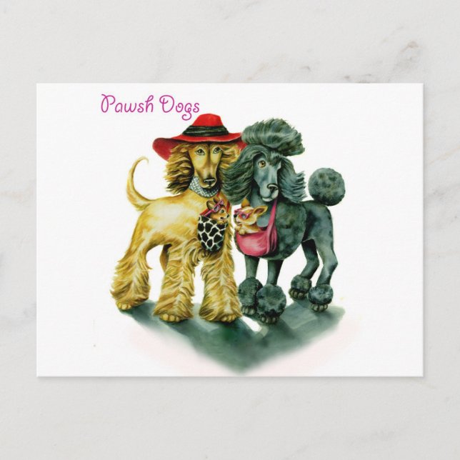 Carte Postale Chiens pawsh (Devant)