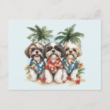 Chiens Shih Tzu portant des chemises hawaïennes