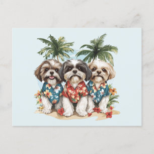 Carte Postale Chiens Shih Tzu portant des chemises hawaïennes