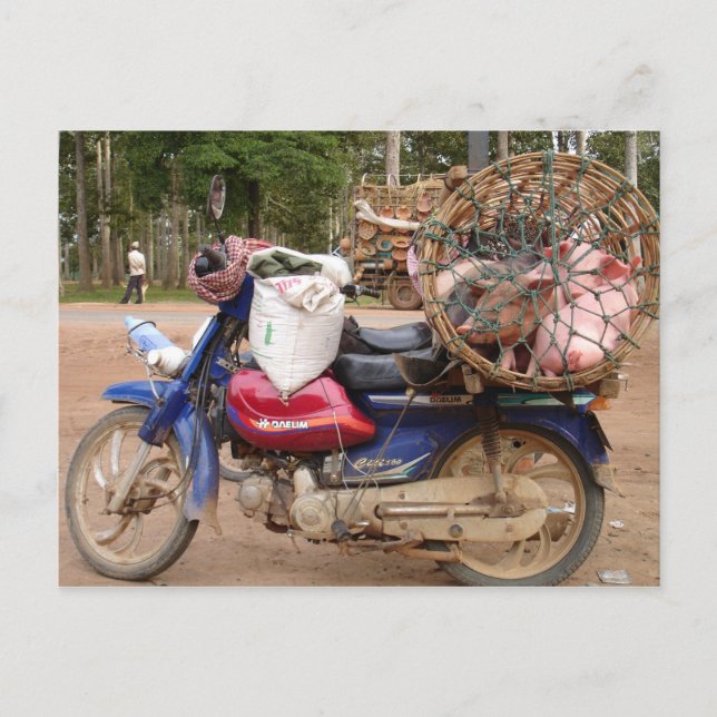 Carte Postale Chiens sur moto-Cambodge (Devant)