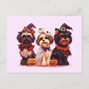 Carte Postale Chih Tzu Chih Halloween