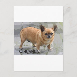 Carte Postale Chihad チ и ワ ワ est х vu у’uuuua est ч vu