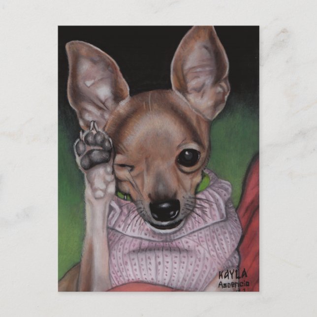 Carte postale Chihuahua (Devant)