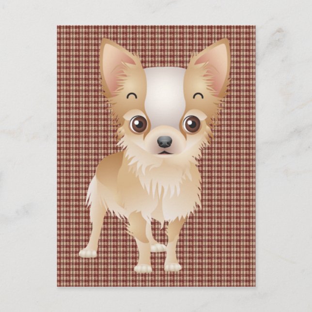 Carte Postale chihuahua (Devant)