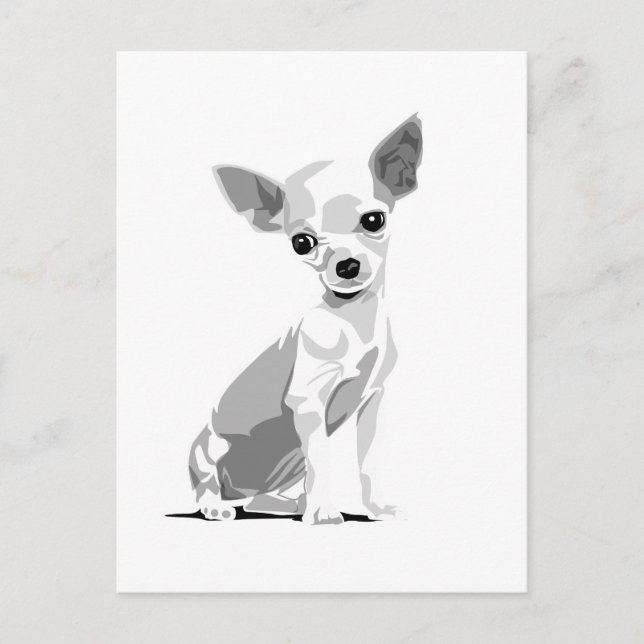 Carte postale Chihuahua (Devant)