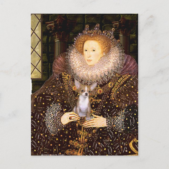Carte Postale Chihuahua 1 - Reine (Devant)
