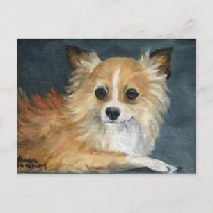 Carte postale "Chihuahua aux cheveux longs"