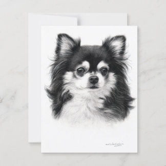 Carte Postale Chihuahua Chien Peint À La Main