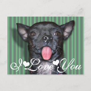 Carte Postale Chihuahua Chien Tongue Je Vous Aime