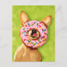 Chihuahua Chig drôle avec saupoudrer la beigne sur