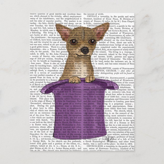 Carte Postale Chihuahua en haut du chapeau (Devant)