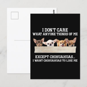 Carte Postale Chihuahua Je me fiche de ce que quiconque pense de