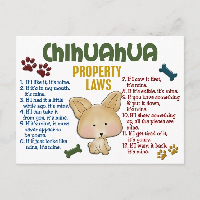Carte Postale Chihuahua, lois sur la propriété 4 (Devant)