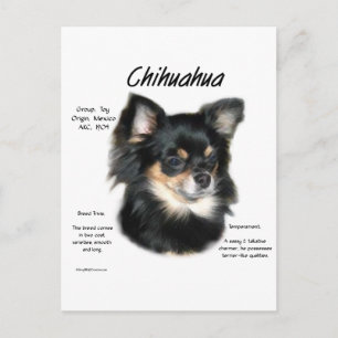Carte Postale Chihuahua (longue) Conception historique