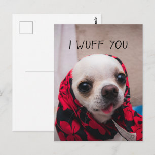 Carte Postale Chihuahua mignon Je vous jure que vous aimez Valen