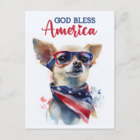 Chihuahua patriotique, Dieu bénisse l'Amérique Car