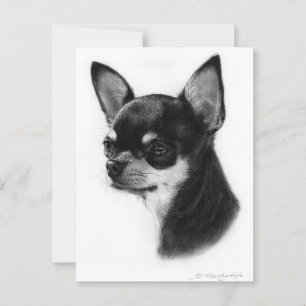 Carte Postale Chihuahua Peint À La Main