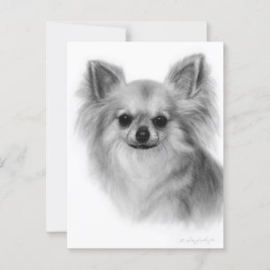 Carte Postale Chihuahua Peint à la main Portrait pour animaux de