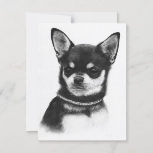 Carte Postale Chihuahua Pourcentage - Artisanat Peint à la main