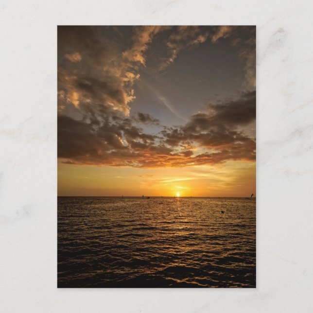 Carte Postale Chill Out en Floride Sunset Postcard (Devant)