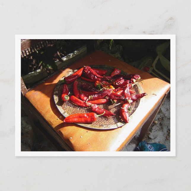 Carte Postale Chillies (Devant)