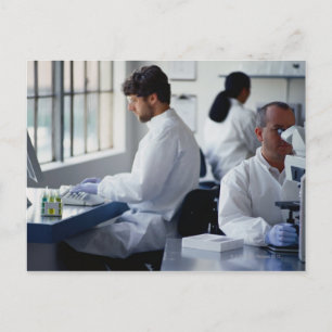Carte Postale Chimistes travaillant en laboratoire
