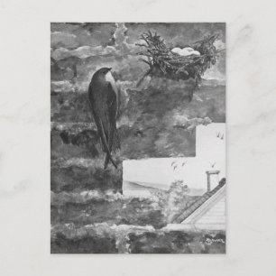 Carte Postale Chimney Swift et Nest
