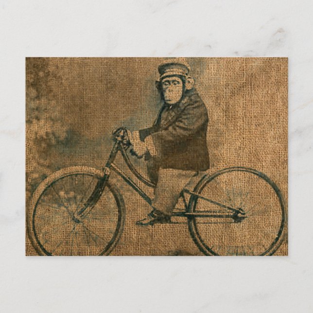 Carte Postale Chimp vintage à vélo (Devant)
