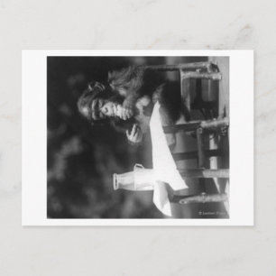 Carte Postale Chimpanzé assis à table au zoo national