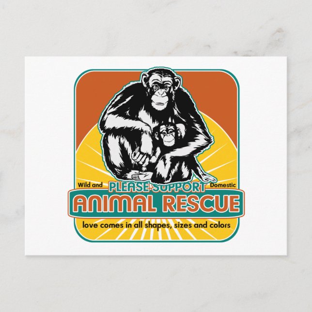 Carte Postale Chimpanzé de sauvetage animal (Devant)